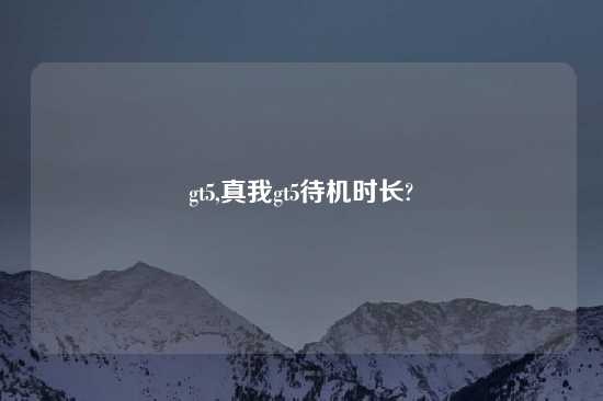gt5,真我gt5待机时长?