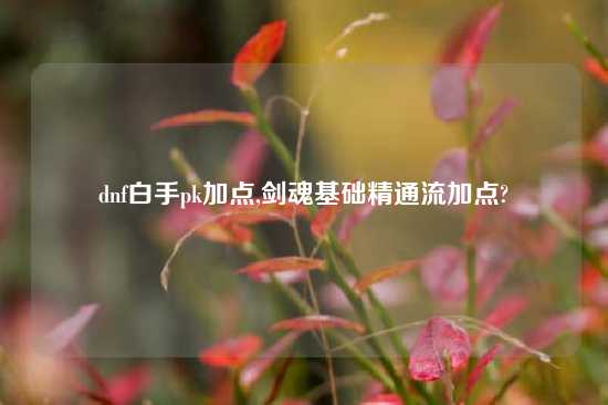 dnf白手pk加点,剑魂基础精通流加点?
