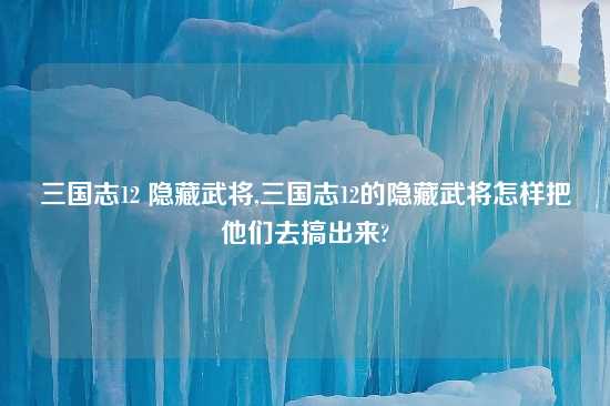 三国志12 隐藏武将,三国志12的隐藏武将怎样把他们去搞出来?