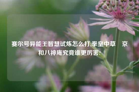 赛尔号异能王智慧试炼怎么打,拳皇中草薙京和八神庵究竟谁更厉害?