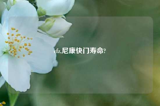 cfz,尼康快门寿命?
