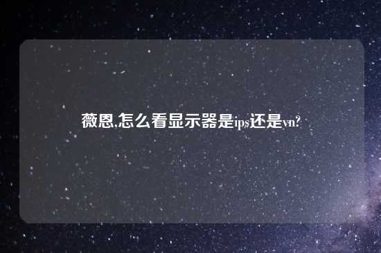 薇恩,怎么看显示器是ips还是vn?