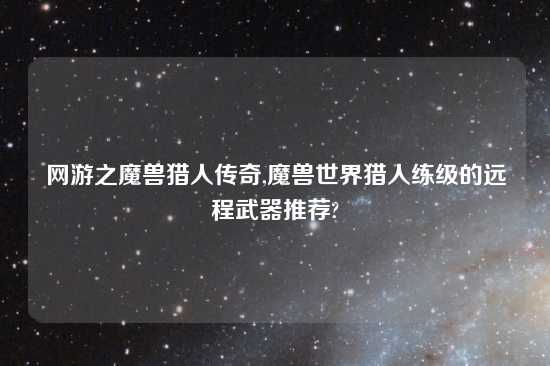网游之魔兽猎人传奇,魔兽世界猎人练级的远程武器推荐?