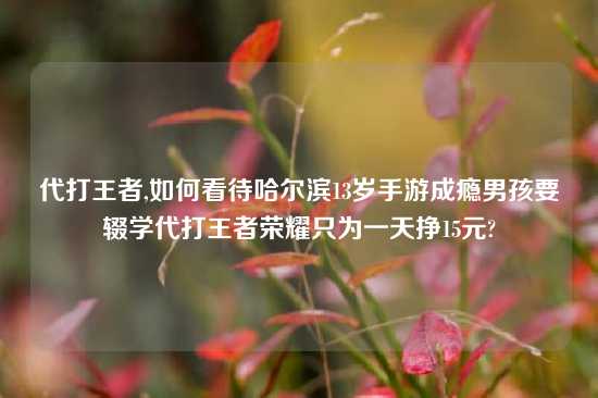 代打王者,如何看待哈尔滨13岁手游成瘾男孩要辍学代打王者荣耀只为一天挣15元?