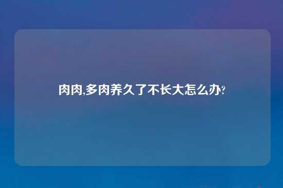 肉肉,多肉养久了不长大怎么办?