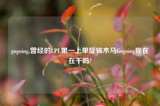 gogoing,曾经的LPL第一上单旋转木马Gogoing现在在干吗?