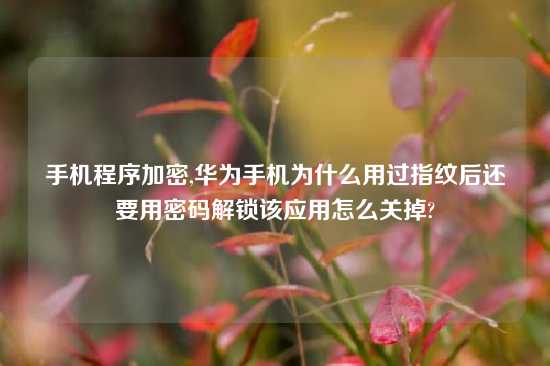 手机程序加密,华为手机为什么用过指纹后还要用密码解锁该应用怎么关掉?