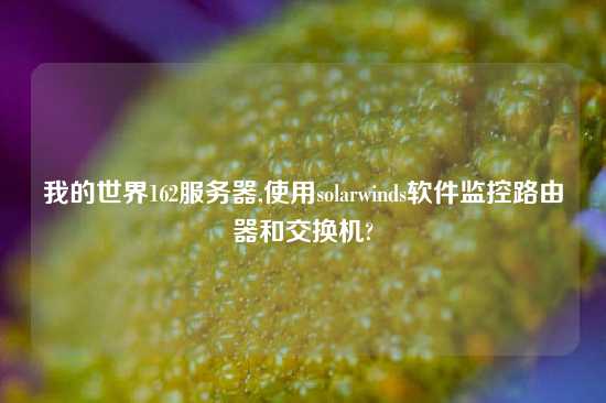 我的世界162服务器,使用solarwinds软件监控路由器和交换机?