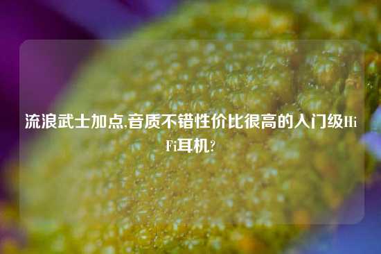 流浪武士加点,音质不错性价比很高的入门级HiFi耳机?