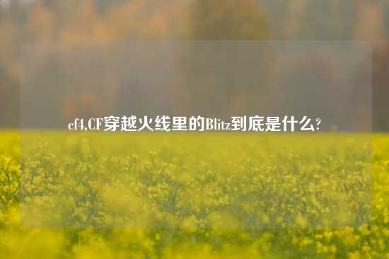 cf4,CF穿越火线里的Blitz到底是什么?