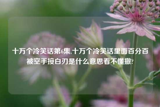 十万个冷笑话第6集,十万个冷笑话里面百分百被空手接白刃是什么意思看不懂撒?