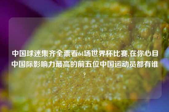 中国球迷集齐全票看64场世界杯比赛,在你心目中国际影响力最高的前五位中国运动员都有谁?