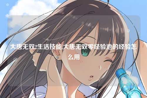 大唐无双2生活技能,大唐无双零经验池的经验怎么用