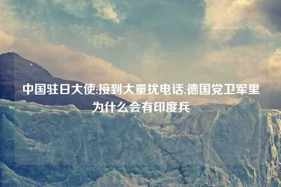 中国驻日大使:接到大量扰电话,德国党卫军里为什么会有印度兵