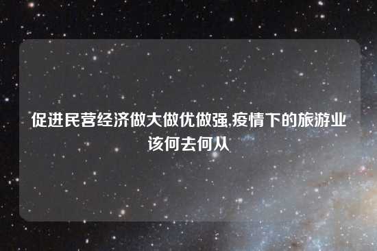促进民营经济做大做优做强,疫情下的旅游业该何去何从