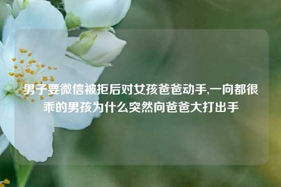 男子要微信被拒后对女孩爸爸动手,一向都很乖的男孩为什么突然向爸爸大打出手