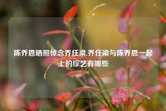 陈乔恩晒照悼念乔任梁,乔任梁与陈乔恩一起上的综艺有哪些