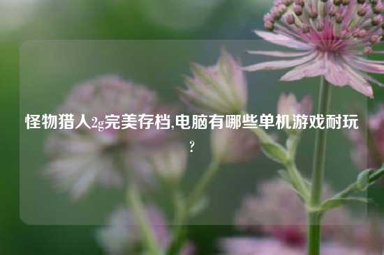 怪物猎人2g完美存档,电脑有哪些单机游戏耐玩?