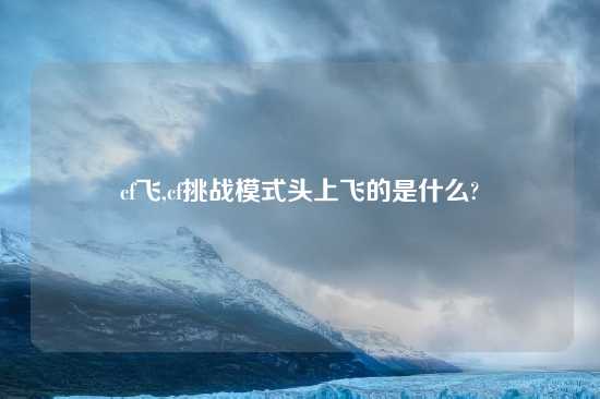 cf飞,cf挑战模式头上飞的是什么?