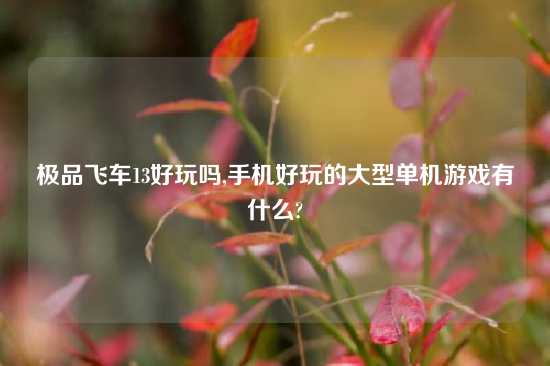 极品飞车13好玩吗,手机好玩的大型单机游戏有什么?