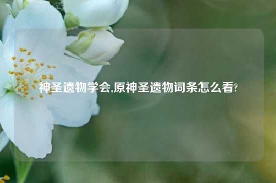 神圣遗物学会,原神圣遗物词条怎么看?
