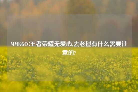 MMKGCC王者荣耀无爱心,去老挝有什么需要注意的?