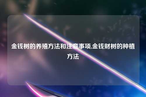 金钱树的养殖方法和注意事项,金钱财树的种植方法