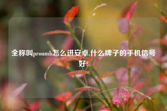 全称叫proumb怎么进安卓,什么牌子的手机信号好?