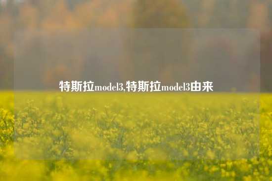 特斯拉model3,特斯拉model3由来