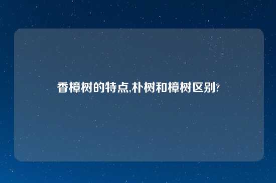 香樟树的特点,朴树和樟树区别?