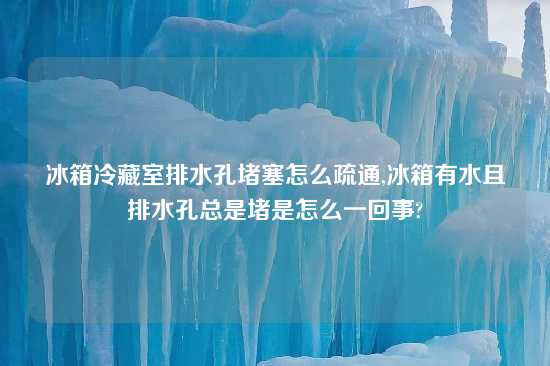 冰箱冷藏室排水孔堵塞怎么疏通,冰箱有水且排水孔总是堵是怎么一回事?