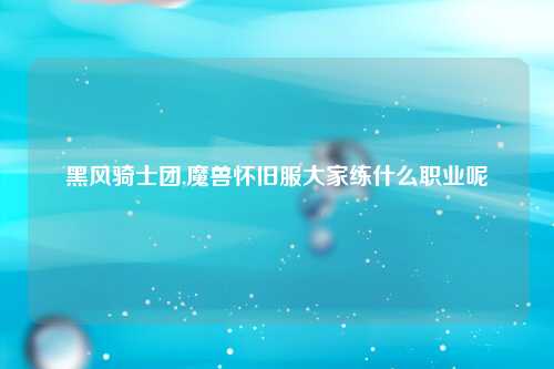 黑风骑士团,魔兽怀旧服大家练什么职业呢