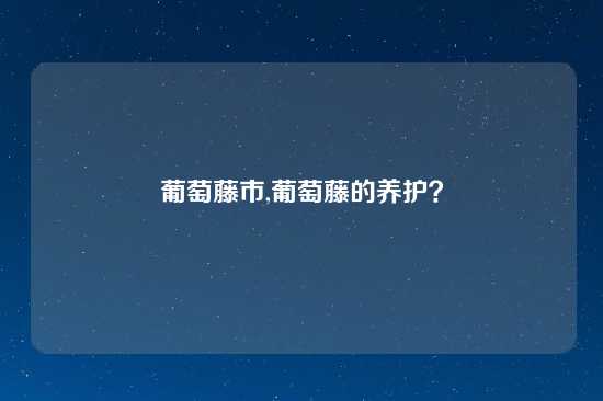 葡萄藤市,葡萄藤的养护？