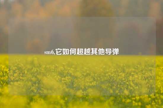 sm6,它如何超越其他导弹