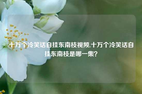 十万个冷笑话自挂东南枝视频,十万个冷笑话自挂东南枝是哪一集？