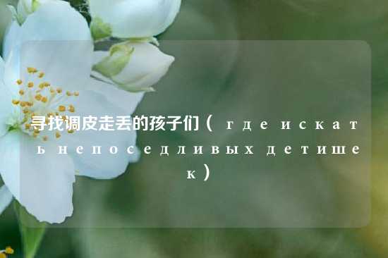 寻找调皮走丢的孩子们（ где искать непоседливых детишек）