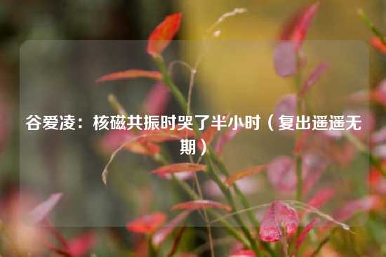 谷爱凌：核磁共振时哭了半小时（复出遥遥无期）