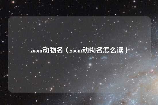 zoom动物名（zoom动物名怎么读）