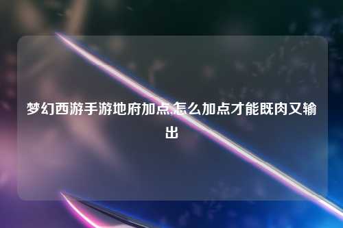 梦幻西游手游地府加点,怎么加点才能既肉又输出