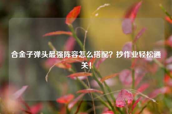 合金子弹头最强阵容怎么搭配？抄作业轻松通关！