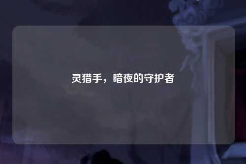 灵猎手，暗夜的守护者