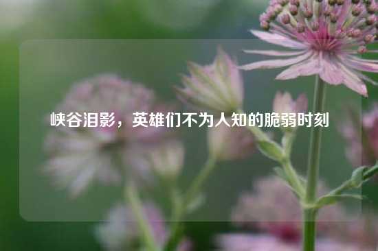 峡谷泪影，英雄们不为人知的脆弱时刻