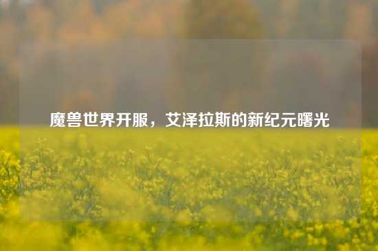 魔兽世界开服，艾泽拉斯的新纪元曙光