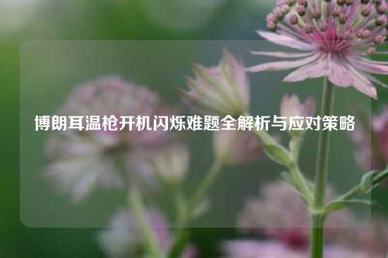 博朗耳温枪开机闪烁难题全解析与应对策略