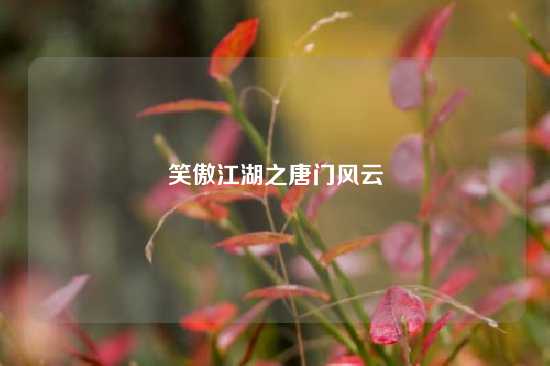 笑傲江湖之唐门风云