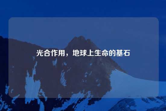 光合作用，地球上生命的基石