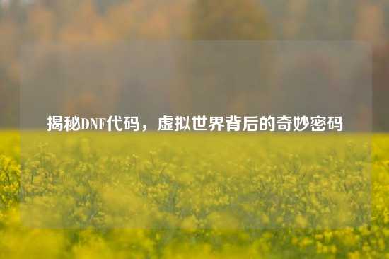 揭秘DNF代码，虚拟世界背后的奇妙密码