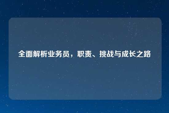 全面解析业务员，职责、挑战与成长之路
