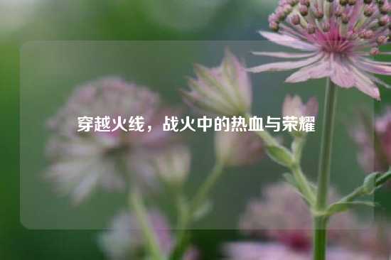 穿越火线，战火中的热血与荣耀