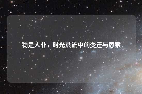 物是人非，时光洪流中的变迁与思索